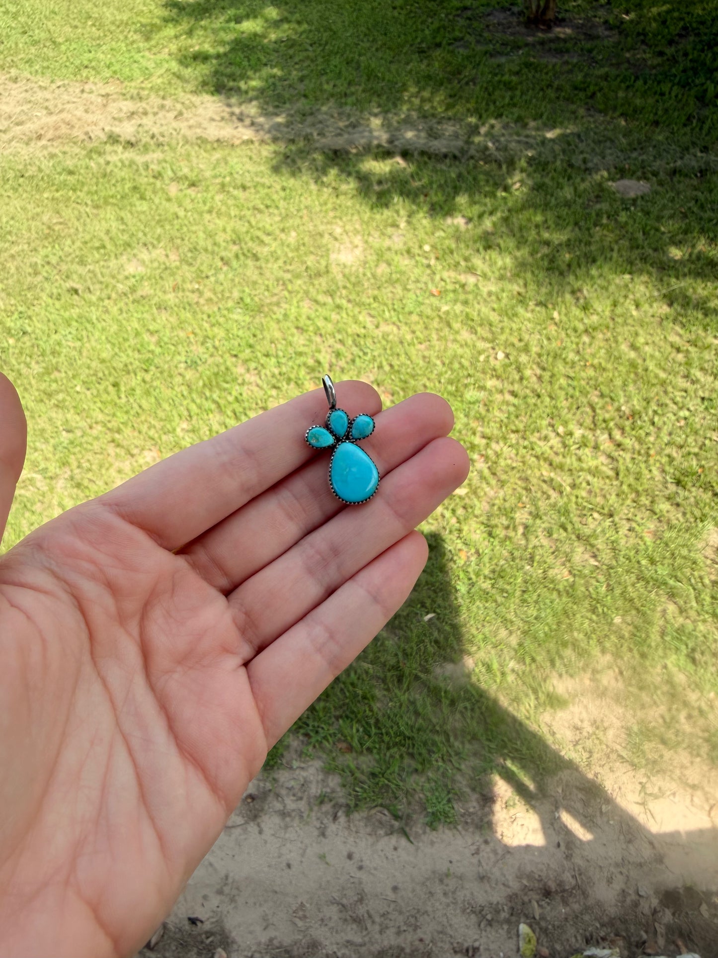 Kingman and Sonoran Pendant